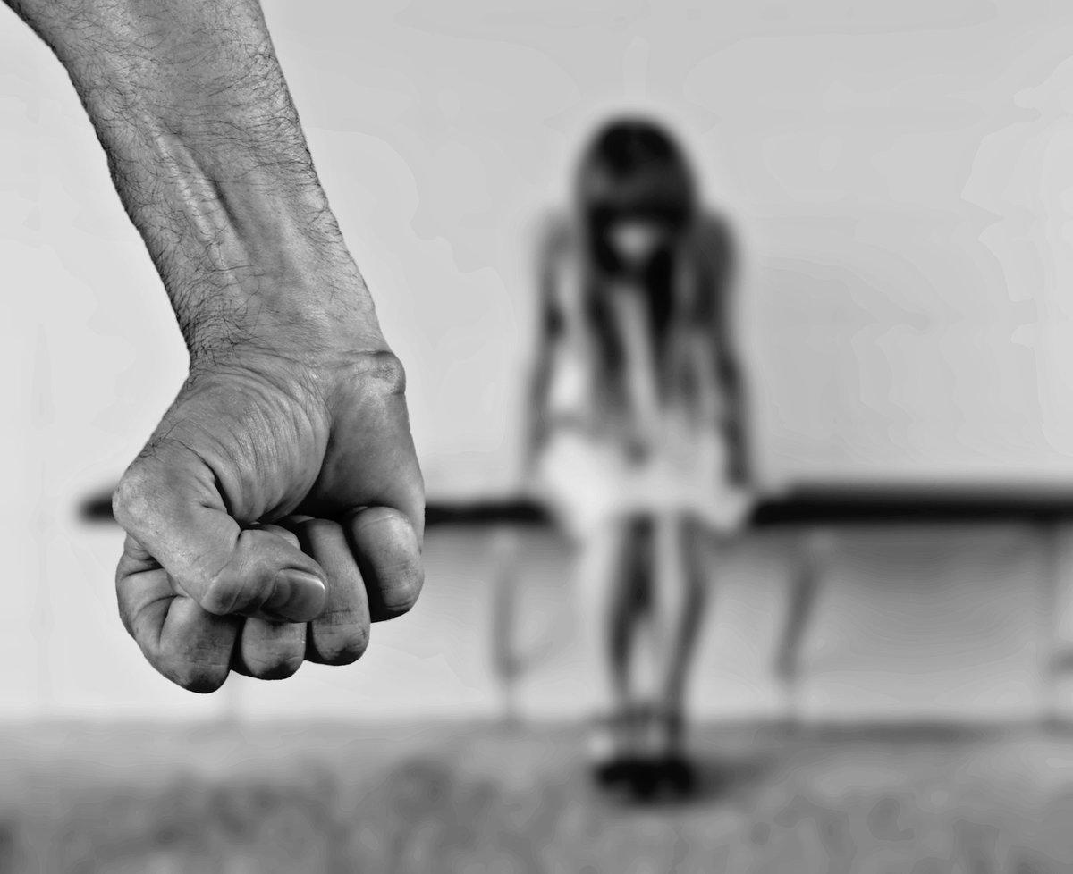 Бытовое Насилие в семьях и обществе. Практическое руководство к решению проблем (ч.1) 2 Бытовое Насилие в семьях и обществе. Практическое руководство к решению проблем (ч.1)
